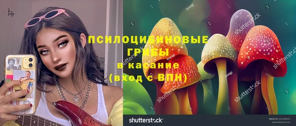 молекула духа Аркадак