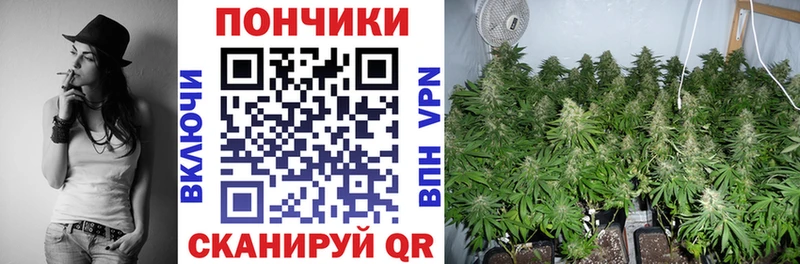 Канабис SATIVA & INDICA  Купить закладки  Лысьва 